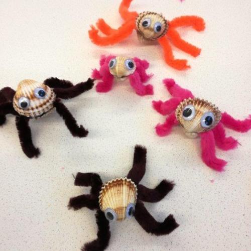 spinne2