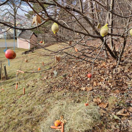 Tiere sollen einen schönen Baum 