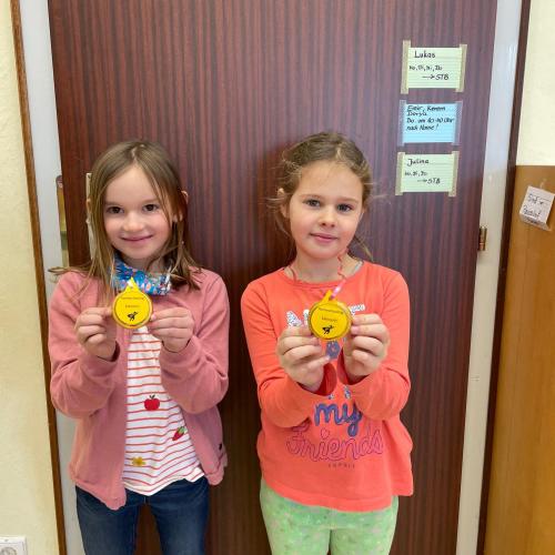 homescholling medaille