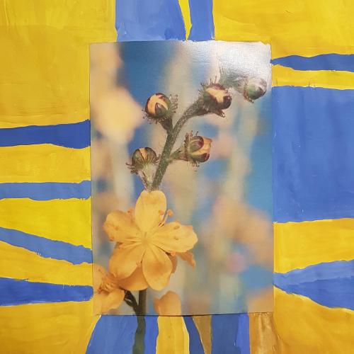 Kunst vergrößern ....