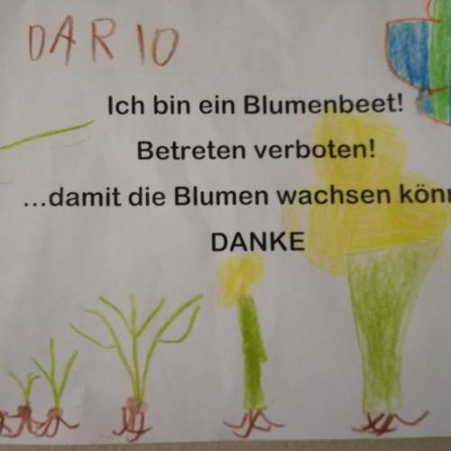 im Vorfrühling bepflanzen wir unseren Schulgarten