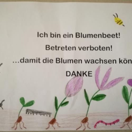 im Vorfrühling bepflanzen wir unseren Schulgarten