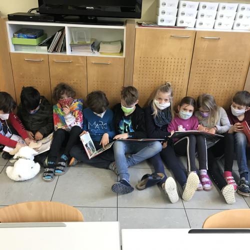Unsere Tiersachbücher neu entdeckt