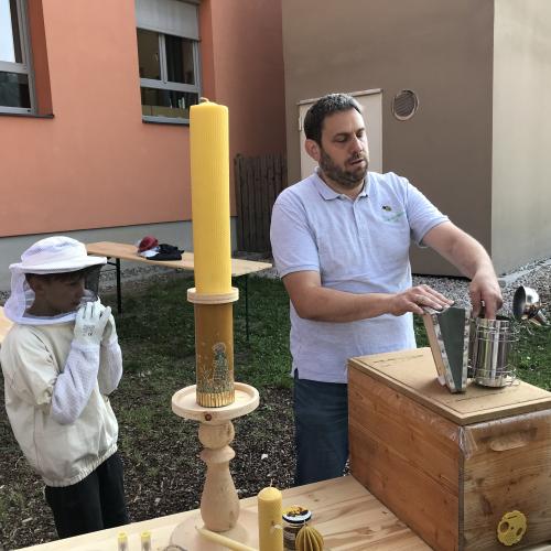 Bienenbesuch mit Imker Stefan Sieberer