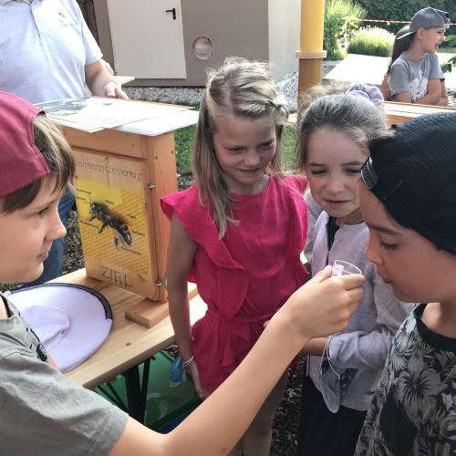 Bienenbesuch mit Imker Stefan Sieberer