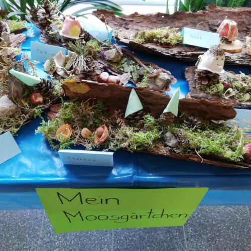 Moosgärtchen