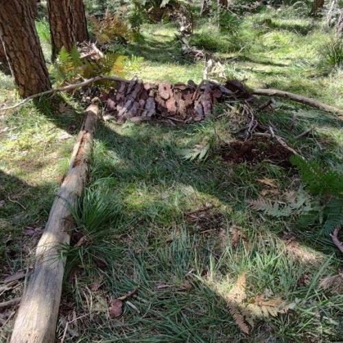 Unsere Kugelbahn im Wald