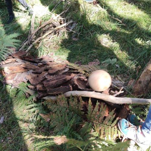 Unsere Kugelbahn im Wald