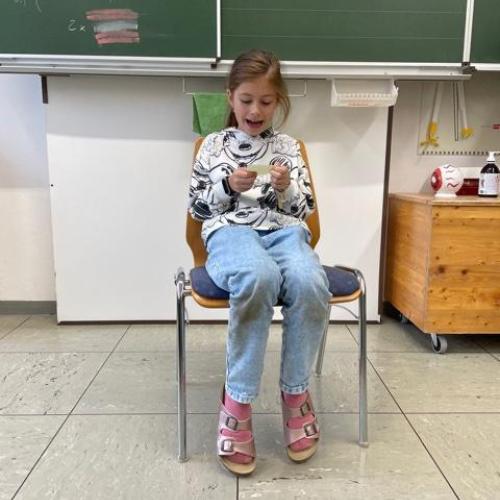 BIB