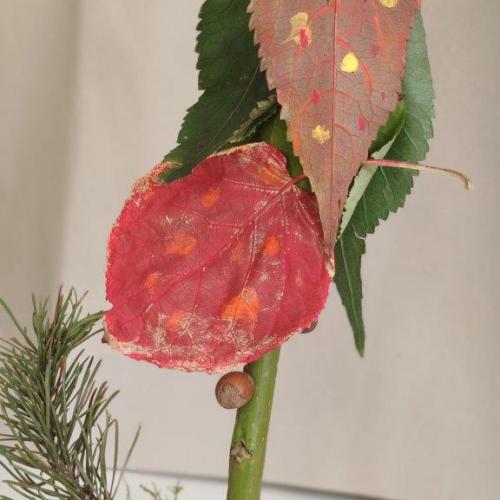 Kunstwerke mit Schätzen aus dem Wald