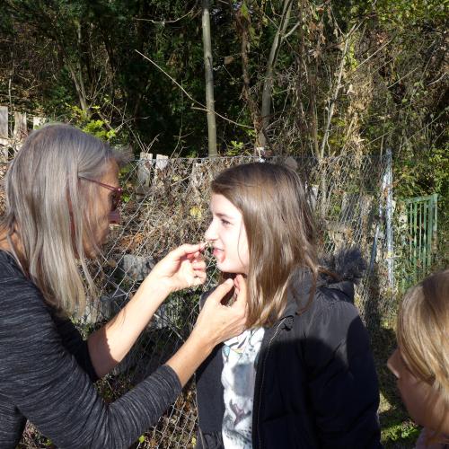 Unsere Lesewanderung am österreichischen Vorlesetag