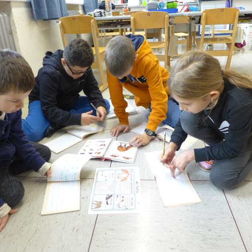 2b Gruppenarbeit Waldtiere