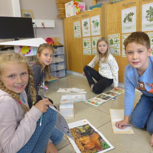 2b Gruppenarbeit Waldtiere