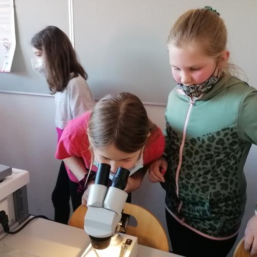 Besuch in der Mittelschule Zirl! Ein toller Vormittag!