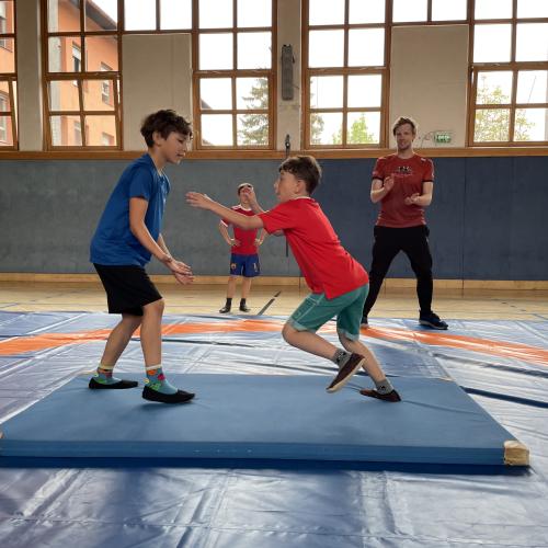 Wrestling 