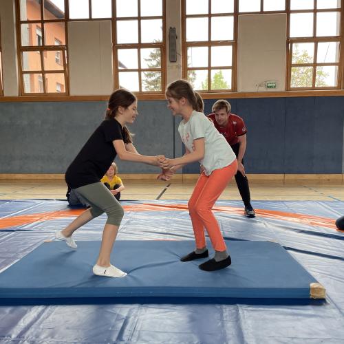 Wrestling