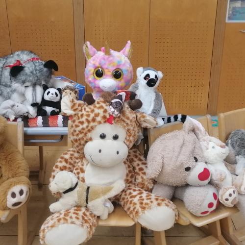Wir haben Besuch! Unsere Kuscheltiere sind da! Hurra!