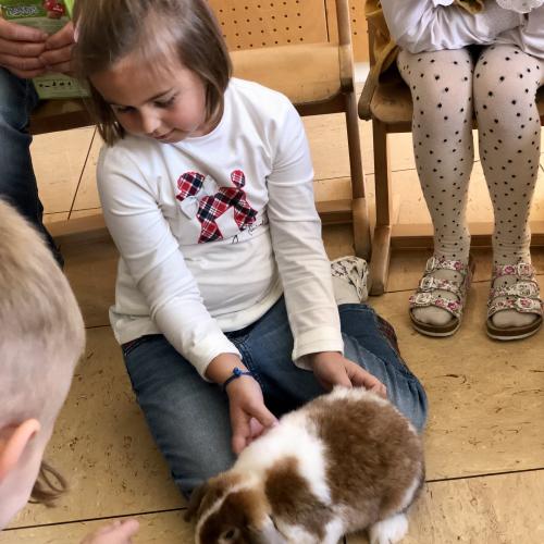 Vierbeiniger Besuch zum Welttierschutztag