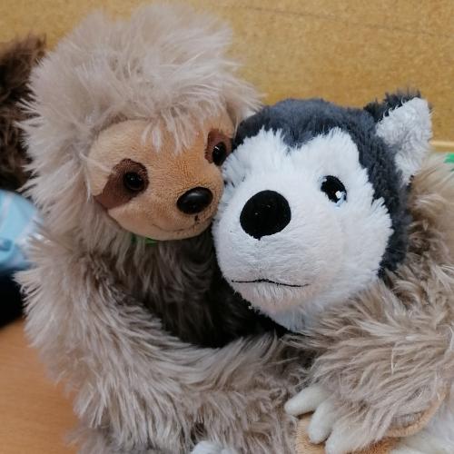 Tierische Freunde