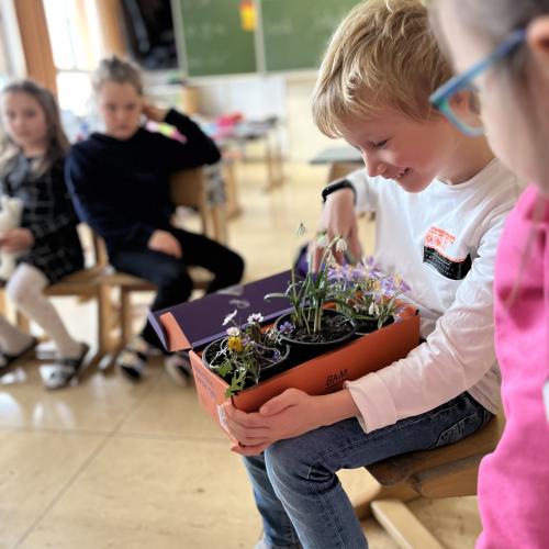 Der Frühling klopft an