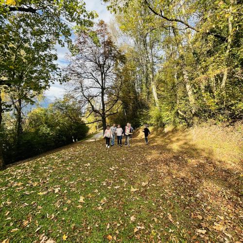 Dem Herbst auf der Spur