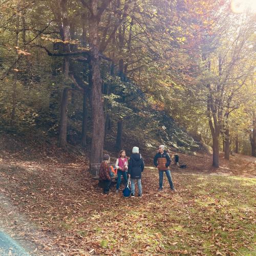 Dem Herbst auf der Spur
