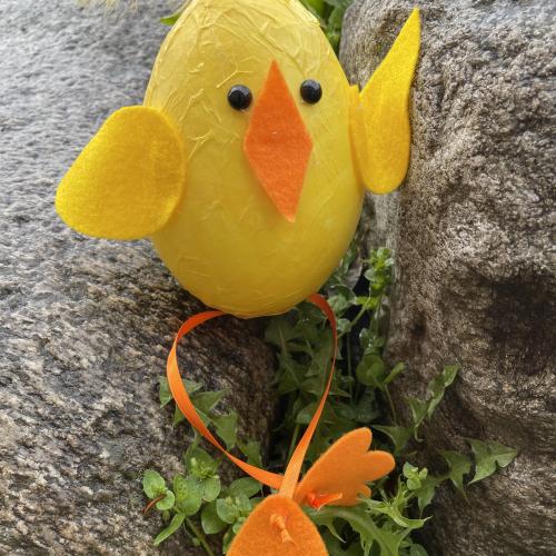 1. Klasse- Osterküken