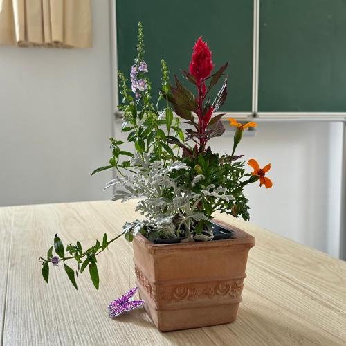 gemütlicher letzter Nachmittag