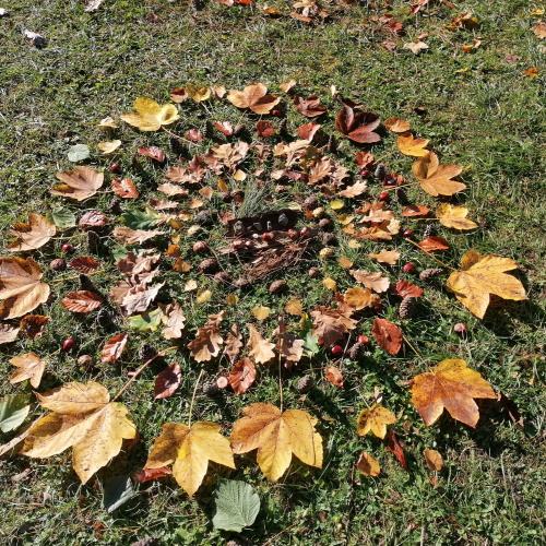 Lehrausgang in den herbstlichen Wald!