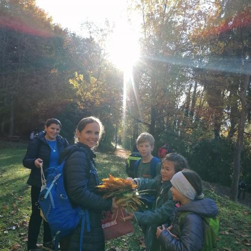Lehrausgang in den herbstlichen Wald!