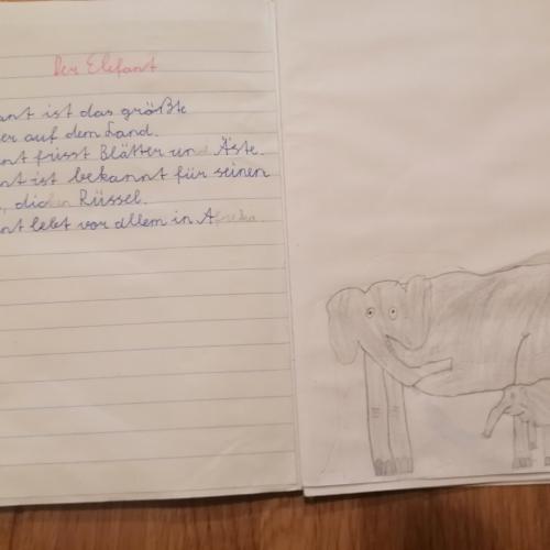 Merktexten und Zeichnungen