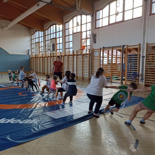 Bewegung, Sport und Ringen