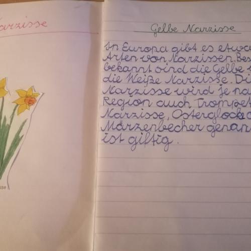 Blumenheft