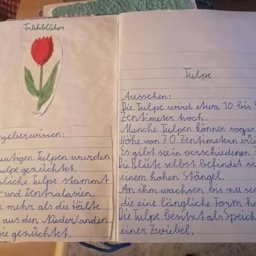 Blumenheft
