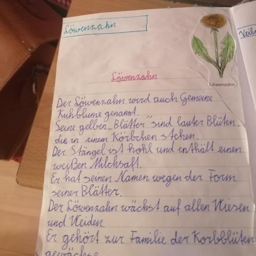 Blumenheft