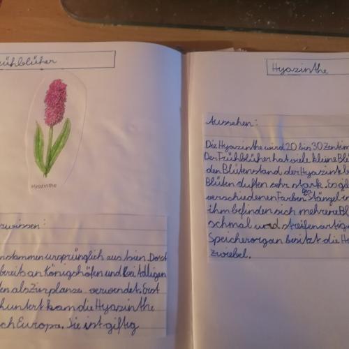 Blumenheft