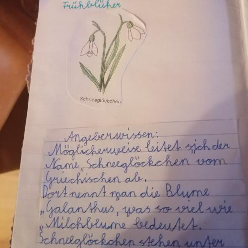 Blumenheft