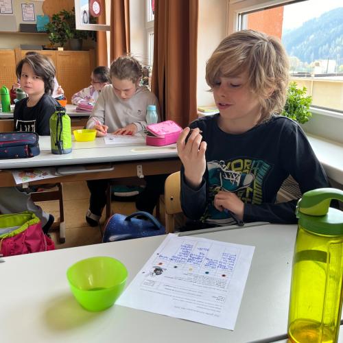 Der große Schokohasen-Test 2025