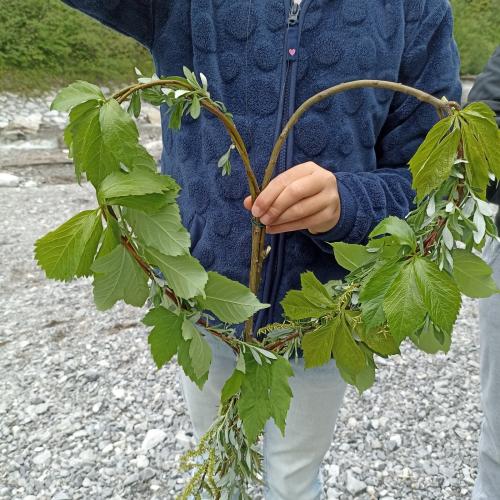 Was wir aus der Natur alles lernen!