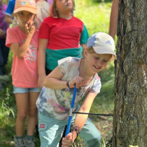Waldtag 2a