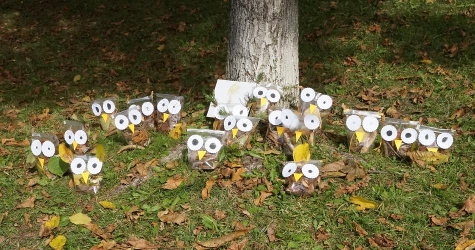 Waldprojekt