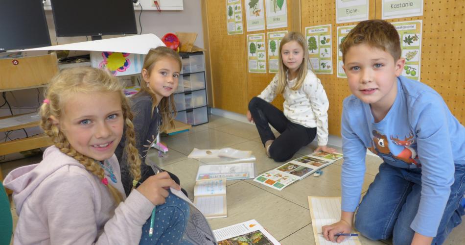 2b Gruppenarbeit Waldtiere