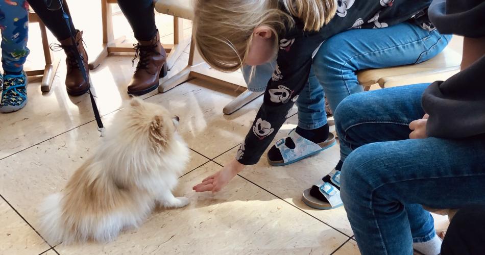 Vierbeiniger Besuch zum Welttierschutztag