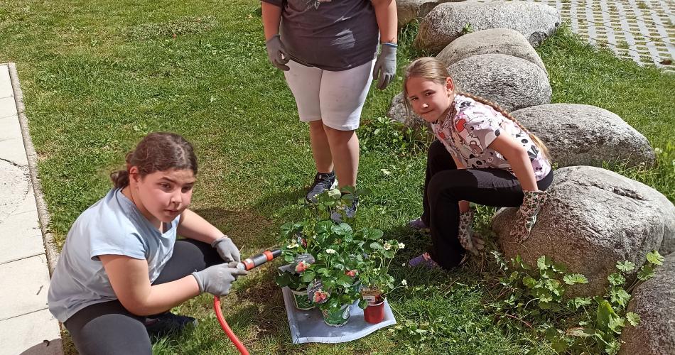 Die Kräuterschenke im Schulgarten wird angelegt