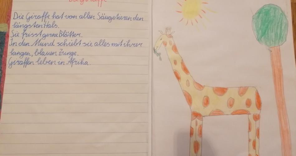 Merktexten und Zeichnungen