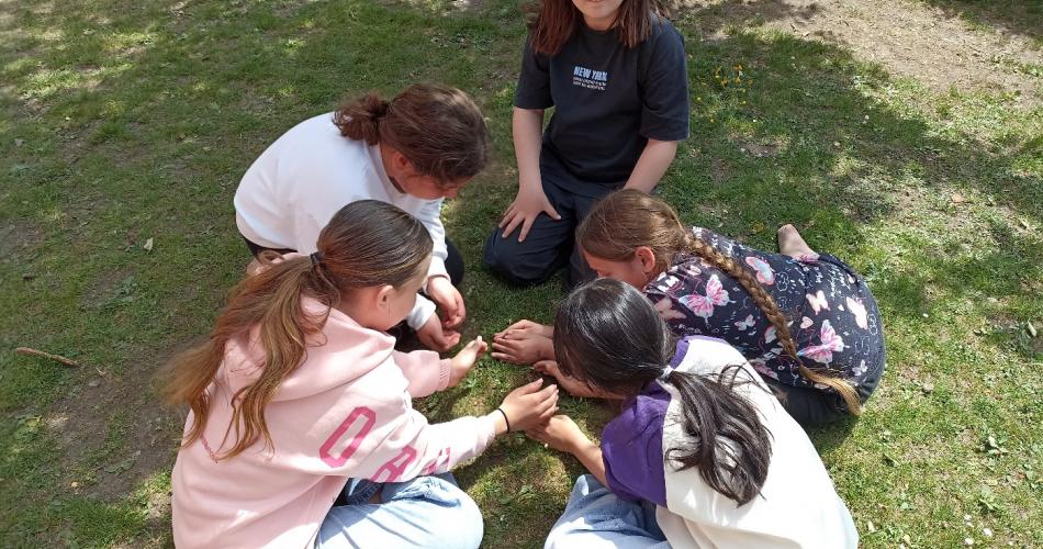Freizeit im Schulgarten im Frühling